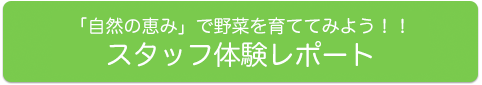 スタッフ体験レポート